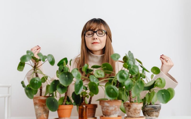 Sustentabilidade: Cuidados para o Bem-Estar