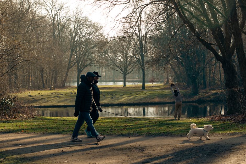 Sustentabilidade — A serene park scene in Den Haag with people walking and a dog playing by the pond.